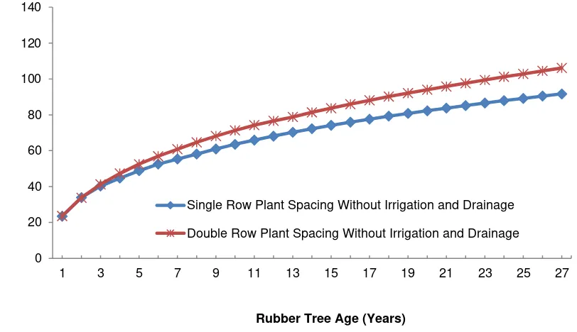 Figure 2. The growth of rubber girth under scenario without irrigation and drainage 