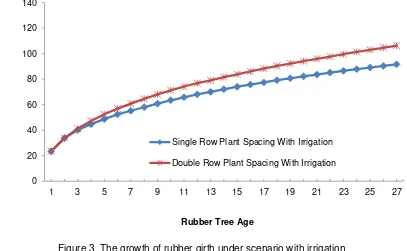 Figure 3. The growth of rubber girth under scenario with irrigation 