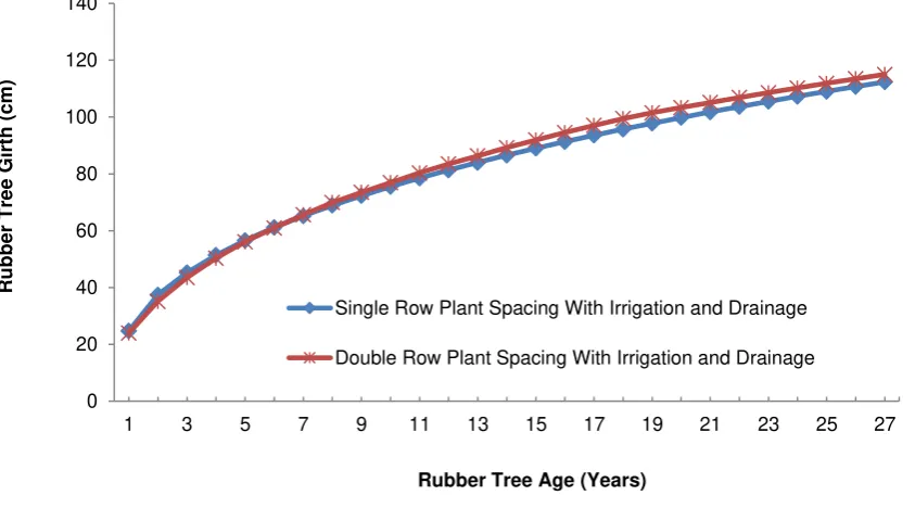 Figure 5. The growth of rubber girth under scenario with irrigation and drainage 