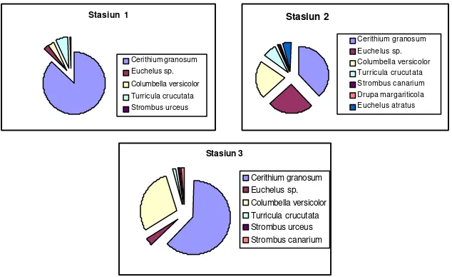 Gambar 3.  Komposisi Spesies Gastropoda Berdasarkan Kepadatan Pada Tiap  Stasiun.  