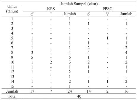 Tabel 2  Pembagian umur siamang sumatera yang diukur di lapangan 