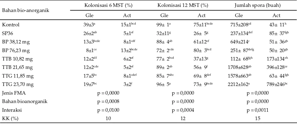 Tabel 3. Rataan kolonisasi mikoriza pada umur 6 dan 12 MST (minggu setelah tanam) dan jumlah spora per 100 g media tumbuh P