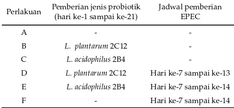 Tabel 1.  Perlakuan pemberian probiotik dan E. coli enteropato-genik (EPEC)