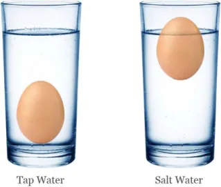 Gambar 2.1. Telur dalam Air Tawar dan Air Asin 