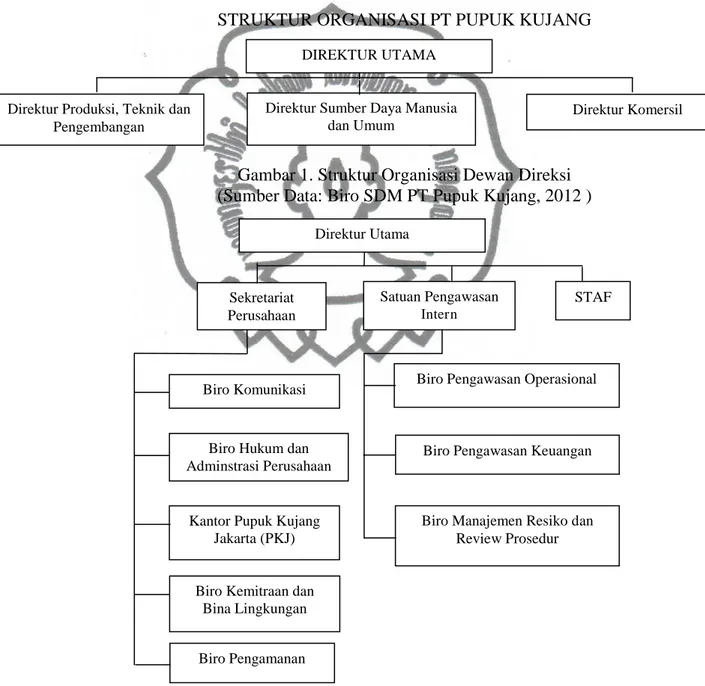 Gambar 1. Struktur Organisasi Dewan Direksi  (Sumber Data: Biro SDM PT Pupuk Kujang, 2012 ) 