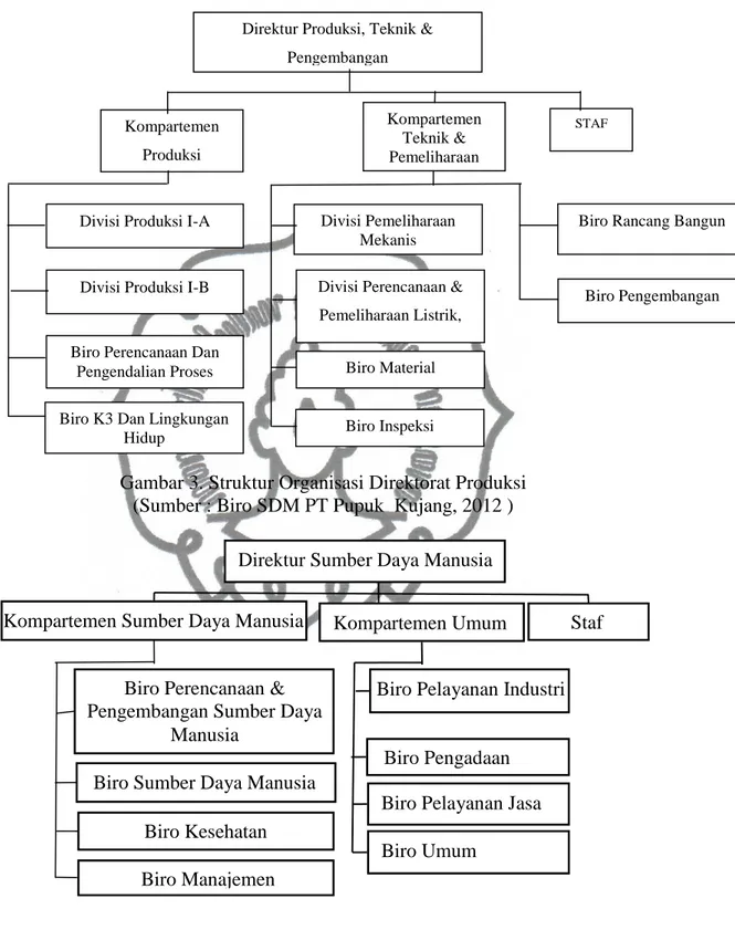 Gambar 3. Struktur Organisasi Direktorat Produksi  (Sumber : Biro SDM PT Pupuk  Kujang, 2012 ) 