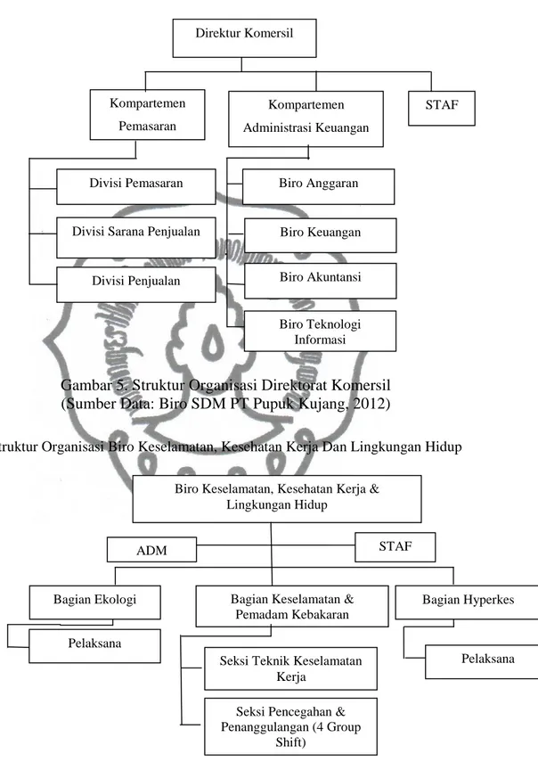 Gambar 5. Struktur Organisasi Direktorat Komersil  (Sumber Data: Biro SDM PT Pupuk Kujang, 2012) 