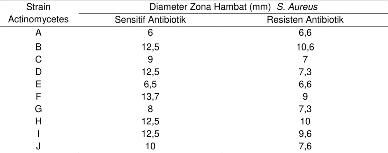 Tabel  2.  Perbandingan  Diameter  Zona  Hambat  Isolat  Actinomycetes  Strain  A-J  Terhadap  S