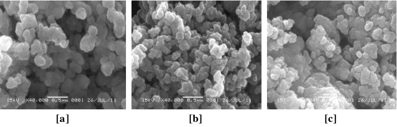 Gambar 3. Foto SEM dari nanopartikel TiO2-CoFe2O4 