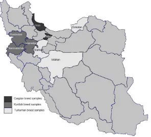 Figure 1. Show the samples of different breeds in provincesFigure 1. Sampling location for three different horse breeds (Caspian, Kurdish, and Turkoman) in some provinces in Iran258