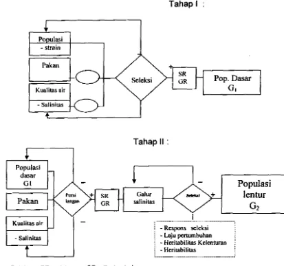 Gambar 1. Diagram Alir Permasatahan pada Program Sdeksi Udang Galah dan Pengujiannya 