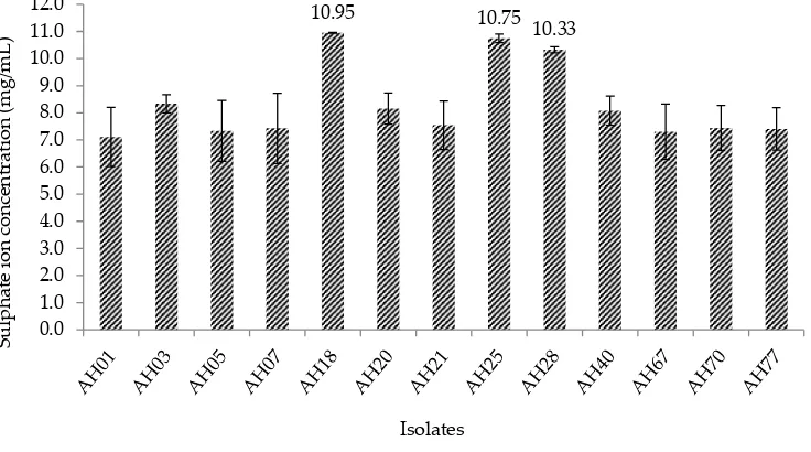 Figure 1.  Screening results of sulphur-oxidising bacteria for sulphate ion production in TSM medium
