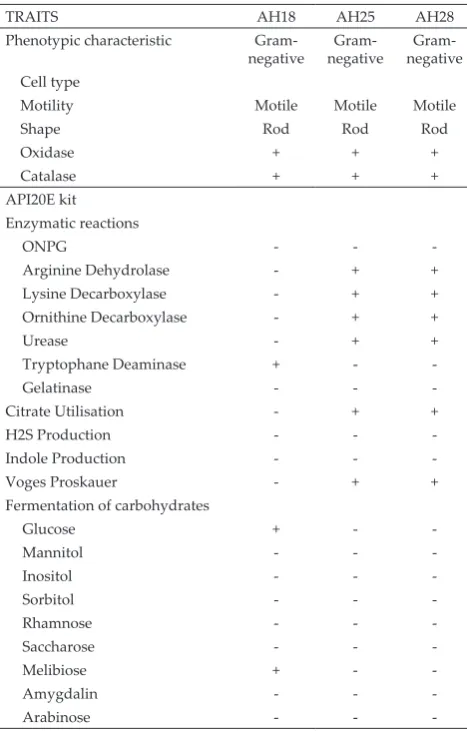 Table 1.  Phenotypic and biochemical characteristics of the po-tential SOB isolates