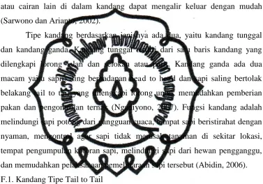 Gambar 3. Kandang Tipe Tail to Tail commit to user 