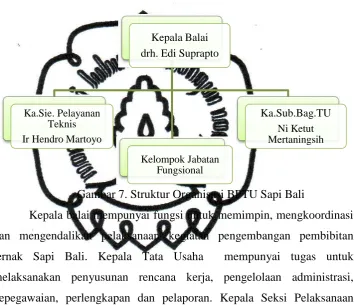 Gambar 7. Struktur Organisasi BPTU Sapi Bali 