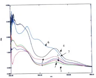 Gambar 3.4 Spektrogram lisinopril-DNB pada beberapa pH buffer borat