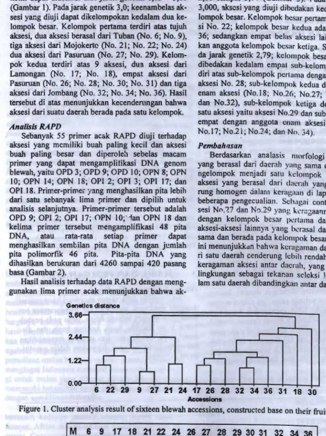 Figure I. Cluster analysis result of sixteen blewah accessions, constructed base on their fruit characters