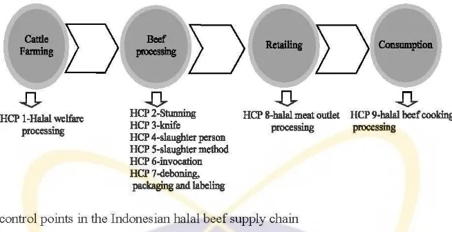 Fig. 1: The halal control points in the Indonesian halal beef supply chain 