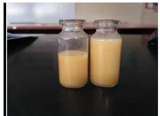 Figure 5. Tofu extracts from kelor 