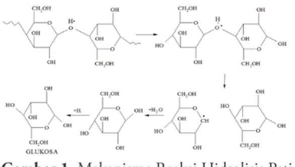 Gambar 1 . Mekanisme Reaksi Hidrolisis Pati  Menjadi Glukosa (Xiang, dkk., 2003).