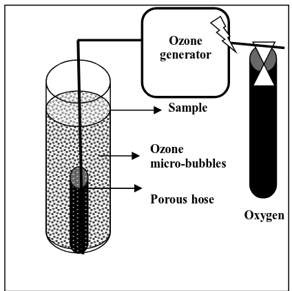Figure �. Schematic diagram of ozona-tion system 