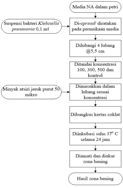 Gambar 1. Diagram alir proses uji antibakteri (Bintang, 1993) 