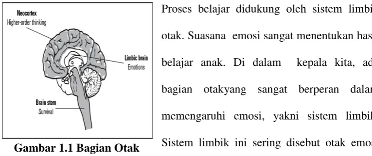 Gambar 1.1 Bagian Otak 