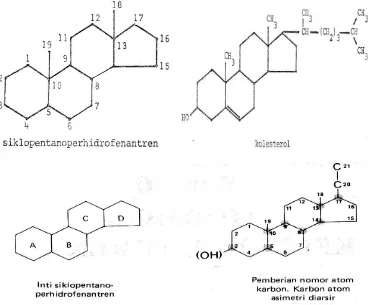 Gambar 13.1. Struktur molekul steroid 