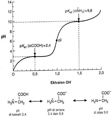 Gambar 3A.4 pH Isoelektrik 