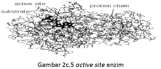 Gambar 2c.5 active site enzim 