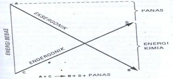 Gambar 2B. 2 Pemindahan energi bebas 