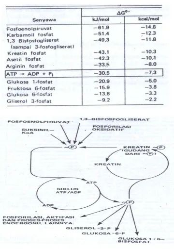 Tabel 2B.1 Standar Energi Bebas 