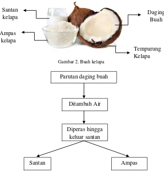 Gambar 2. Buah kelapa 
