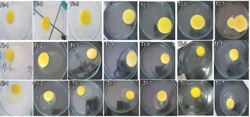 Gambar 1. Kualitas fisik telur ayam ras selama 40 hari penyimpana