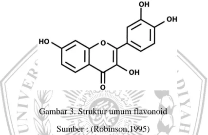 Gambar 3. Struktur umum flavonoid  Sumber : (Robinson,1995) 