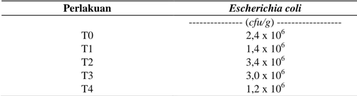 Tabel  4.  Jumlah  Escherichia  coli  pada  Sekum  Ayam  Broiler  dengan  Berbagai Perlakuan Penambahan Air Rebusan Kunyit dalam Air  Minum 