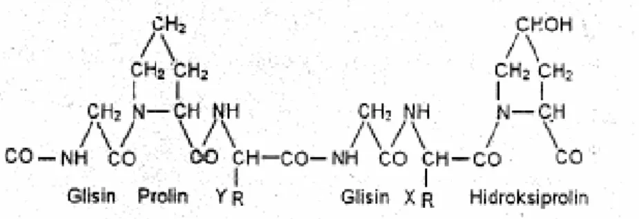 Gambar 1. Struktur Kimia Gelatin (Grobben dkk., 2004). 