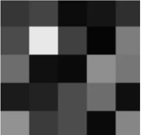Gambar 3.3 Matriks Citra Grayscale 5 x 5 Pixel 
