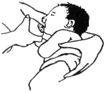 Gambar: Cara merangsang mulut bayi 