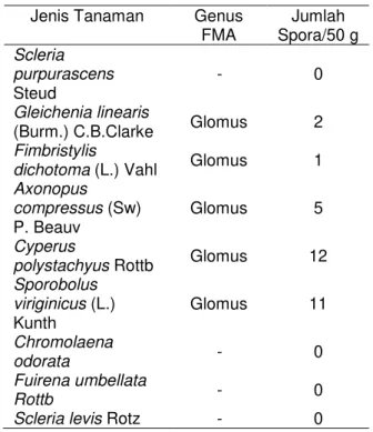Tabel 1. Jenis tanaman, jumlah spora dan  genus spora yang ditemukan di lahan  pasca tambang timah Nibung 