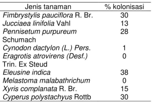 Tabel  4.  Persen  kolonisasi  FMA  dalam  akar  pada  berbagai  jenis  tumbuhan  lahan  pasca tambang timah di daerah Nibung 