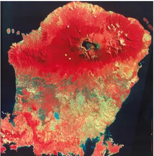 Gambar 2. Citra satelit daerah Lombok 