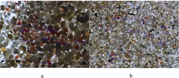 Gambar 3.  a). Butiran pasir gili Patelu(pantai Tangsi/ pantai pink 1) dan b) Gili Gambir (pantai  pink 2) (foto: @ mikroskop Olympus tipe SZX 10)