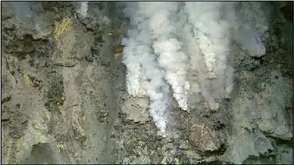 Gambar 6.  Perbedaan warna pada semburan asap hidrotermal yang keluar dari rekahan atau cerobong
