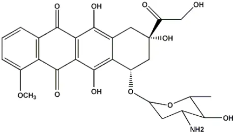 Gambar 2.2 Struktur kimia doksorubisin 