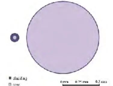 Gambar 2.6 Perbandingan diameter antara serat optik kaca 