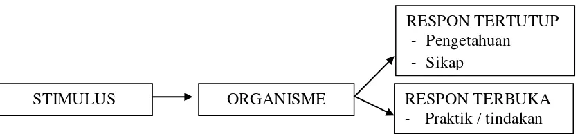 Gambar 2.3 Bagan Teori Stimulus – Organisme – Respon 