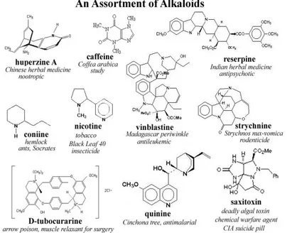 Gambar 2.3 Struktur Kimia Senyawa Alkaloid (Achmad,1986) 