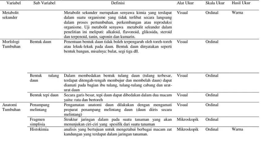 Tabel 3.1 Definisi Operasional Variabel 