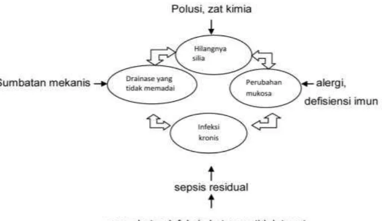 Gambar 2.1. Siklus terjadi rinosinusitis kronis (Mangunkusumo dan Rifki, 2000) 